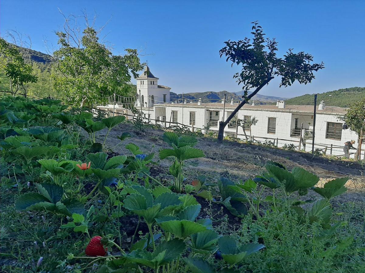 Hotel Apartamento Nueva Alcazaba Busquístar Eksteriør billede